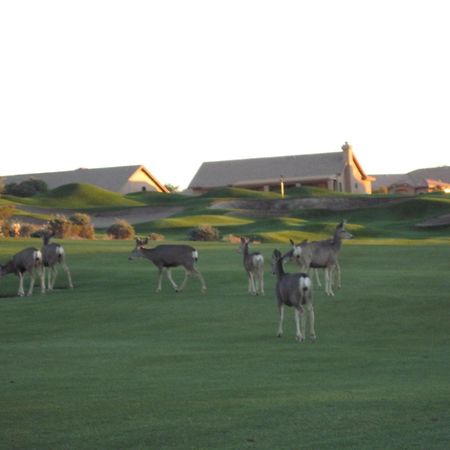 Gold Canyon Golf Resort الغرفة الصورة