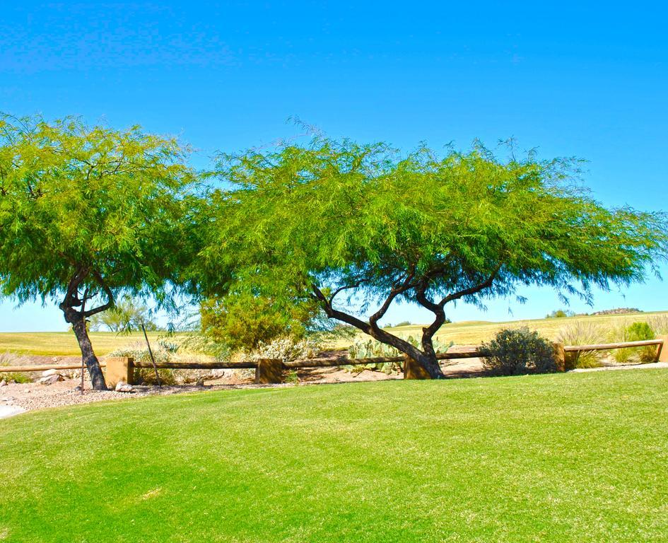 Gold Canyon Golf Resort الغرفة الصورة